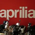 Immagine 50 azienda SOLOINSEGNE Servizi professionali in Milano