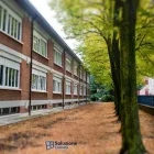 Immagine 30 azienda SOLUZIONE FINESTRA - INFISSI CATANIA Shopping e acquisti in Catania