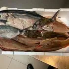 Immagine 7 azienda SORSI E MORSI Ristorante in Civitavecchia RM
