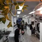 Immagine 2 azienda SPAGHETTI’S Shopping e acquisti in Civitavecchia RM