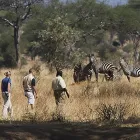 Immagine 1 azienda SPAZIO SAFARI Viaggi e turismo in Milano