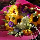 Immagine 1 azienda SPERLINGA FIORI - FIORI A DOMICILIO PALERMO Vivaio in Palermo