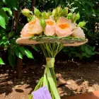 Immagine 4 azienda SPERLINGA FIORI - FIORI A DOMICILIO PALERMO Vivaio in Palermo