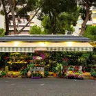 Immagine 6 azienda SPERLINGA FIORI - FIORI A DOMICILIO PALERMO Vivaio in Palermo