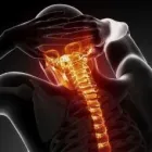 Immagine 1 azienda STEFANO TORTORELLA OSTEOPATA Shopping e acquisti in Roma