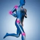 Immagine 2 azienda STEFANO TORTORELLA OSTEOPATA Shopping e acquisti in Roma