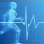 Immagine 4 azienda STEFANO TORTORELLA OSTEOPATA Shopping e acquisti in Roma