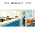 Immagine 8 azienda STEINER - SENONER & PARTNERS Servizi professionali in Bolzano