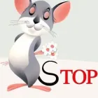 Immagine 4 azienda STOP Organizzazione per la protezione degli animali in Appiano Gentile