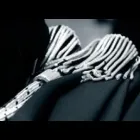 Immagine 2 azienda STRICKER AVV. DR. ALEXANDER Servizi legali e finanziari in Bolzano