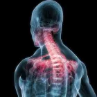 Immagine 3 azienda STUDIO CHIROPRATICO NOMENTANO - DR. PAUL NEURAY Salute in Roma