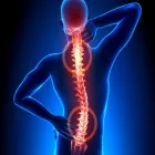 Immagine 4 azienda STUDIO CHIROPRATICO NOMENTANO - DR. PAUL NEURAY Salute in Roma