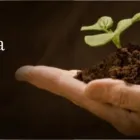 Immagine 1 azienda STUDIO COMMERCIALE E LEGALE DOTT.RI NICOLÒ E SALVO CONTE E AVV. CASSARÀ Servizi legali e finanziari in Palermo