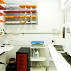 Immagine 2 azienda STUDIO DENTISTICO ALBERTELLI-DENTISTA BOCCEA DENTISTA AURELIA Salute in Roma