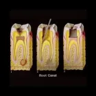 Immagine 1 azienda STUDIO DENTISTICO DOTT. DI MAURO SALVATORE Salute in Gravina Di Catania CT