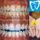 Immagine 2 azienda STUDIO DENTISTICO DOTT. GENNARO COPPOLA Salute in Castellammare Di Stabia NA