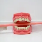 Immagine 3 azienda STUDIO DENTISTICO DOTTORESSA BUSNARDO Salute in Bassano Del Grappa VI