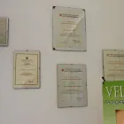 Immagine 6 azienda STUDIO DENTISTICO DOTTORESSA PAOLA DANIELA LOMBARDI Salute in Napoli