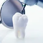 Immagine 2 azienda STUDIO DENTISTICO DR. ALESSIO NIZZI Salute in Pisa