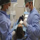 Immagine 4 azienda STUDIO DENTISTICO DR. TASSIELLO STEFANO Salute in Nettuno RM