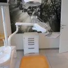 Immagine 1 azienda STUDIO DENTISTICO ERCOLE DORIGO Salute in Parma Pr
