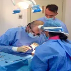 Immagine 21 azienda STUDIO DENTISTICO MARCHETTI Salute in Parma