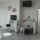 Immagine 5 azienda STUDIO DENTISTICO NICOLA MINUTELLA Salute in Bagheria PA