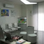 Immagine 6 azienda STUDIO DENTISTICO NICOLA MINUTELLA Salute in Bagheria PA