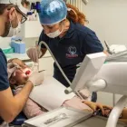Immagine 5 azienda STUDIO DENTISTICO PAGLIERANI Salute in Lavis TN