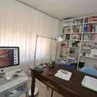 Immagine 4 azienda STUDIO DENTISTICO SANZO E GELLI Salute in Pisa