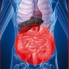Immagine 2 azienda STUDIO DI GASTROENTEROLOGIA E EPATOLOGIA CLAAR Salute in Napoli
