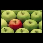 Immagine 7 azienda STUDIO DI PSICOLOGIA CIOTTI E STATI Salute in Ciampino RM