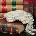 Immagine 3 azienda STUDIO LEGALE AVVOCATO ORIANA GRASSI Servizi legali e finanziari in Napoli