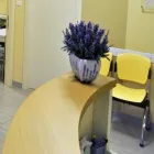 Immagine 1 azienda STUDIO MEDICO DOTT. FRANCESCO PAGANO Salute in Ravenna