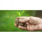 Immagine 1 azienda STUDIO TECNICO AGRARIO NATALONI Servizi agricoli in Ariccia RM