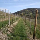 Immagine 8 azienda STUDIO TECNICO ASSOCIATO SOLDAN GEOM. ENNIO E BACCICHET ING. VILMO Servizi professionali in Vittorio Veneto TV