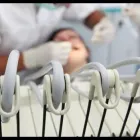 Immagine 1 azienda STUDIO ZANOTTI Salute in Castel Maggiore BO