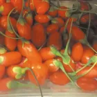 Immagine 6 azienda SUPERPOLO Shopping e acquisti in Milano