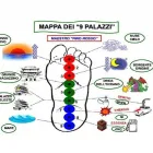 Immagine 1 azienda TARASCONI SIMONA NATUROPATA Salute in Parma