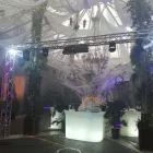 Immagine 3 azienda TEC EVENT CONSULTING Shopping e acquisti in Roma