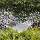 Immagine 6 azienda TECHNICAL SERVICES Servizi professionali in Fonte Nuova RM