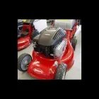 Immagine 2 azienda TECNO GARDEN Vivaio in Binago