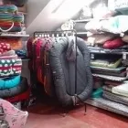 Immagine 1 azienda TECNOAGRICOLA Vivaio in Modena