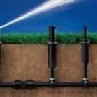 Immagine 2 azienda TECNOGREEN Vivaio in Cordenons PN