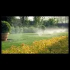 Immagine 4 azienda TECNOGREEN Vivaio in Cordenons PN