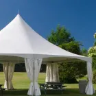 Immagine 4 azienda TELONI SAMPOGNARO Industrie e agricoltura in Catania