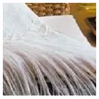 Immagine 5 azienda TENCATI Shopping e acquisti in Parma