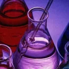 Immagine 1 azienda TENTAMUS AGRIPARADIGMA Industrie e agricoltura in Ravenna