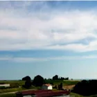 Immagine 2 azienda TENUTA DEL BARONE PENSIONE PER CANI Shopping e acquisti in Fiumicino RM