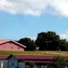 Immagine 3 azienda TENUTA DEL BARONE PENSIONE PER CANI Shopping e acquisti in Fiumicino RM